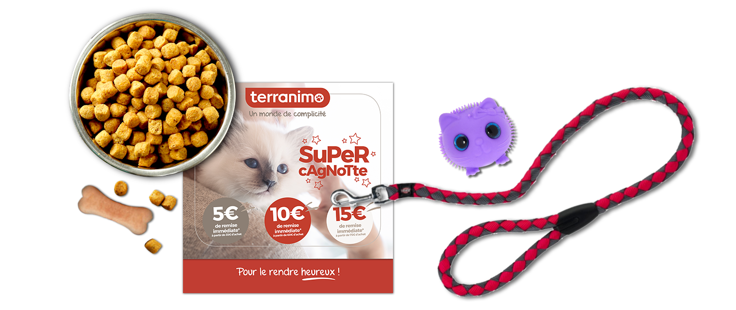 Plan d'action terranimo Easycom 2
