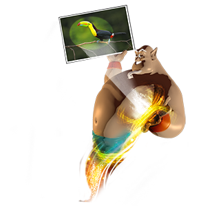 valorisation des images easycom