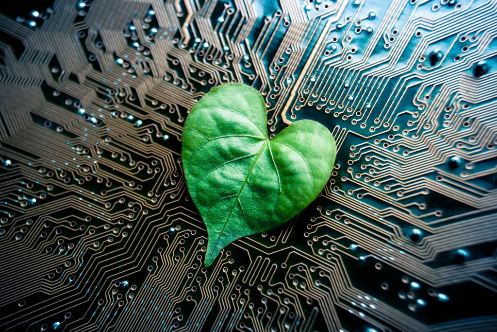 A,Green,Leaf,With,A,Heart,Shape,On,A,Computer