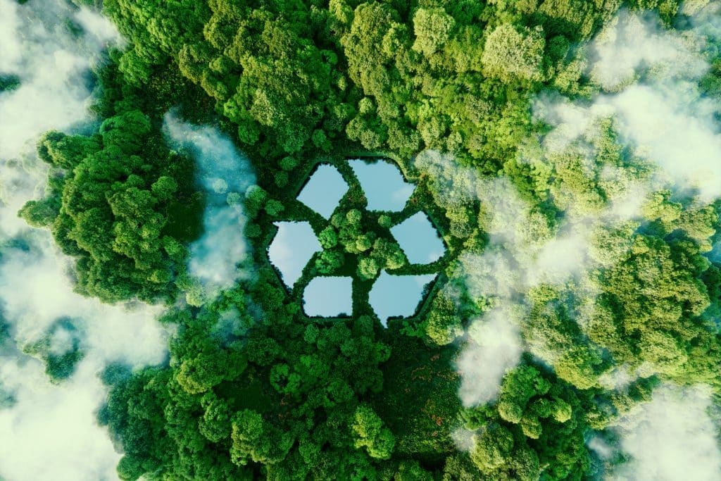 Logo du recyclage visible dans une forêt