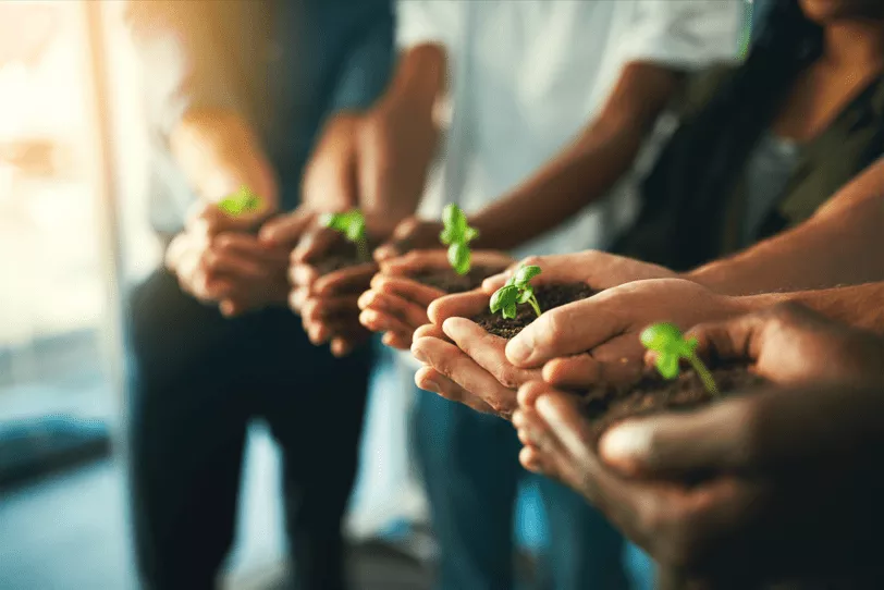 Entreprise engagée contre la pollution numérique