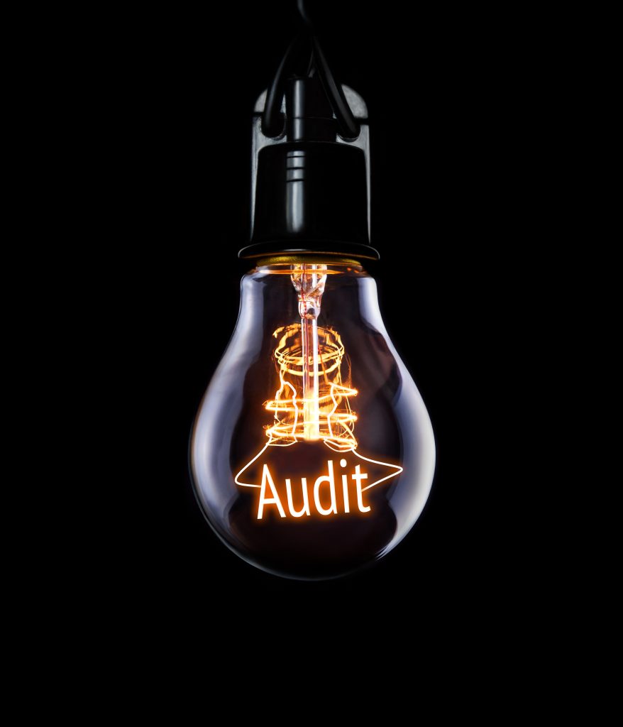 Hanging Lightbulb With Glowing Audit Concept.