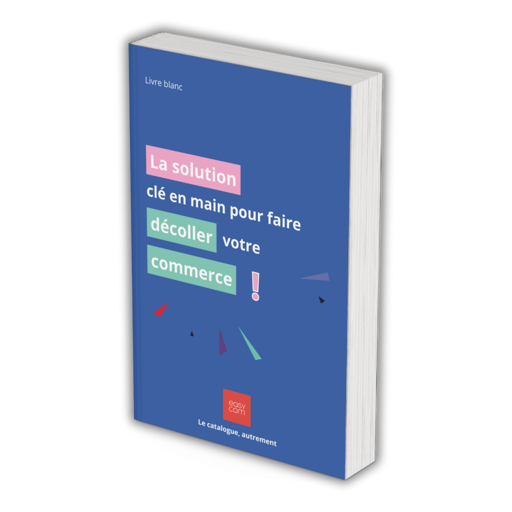 Mockup Livre Blanc Plateforme BtoB Sans Fond