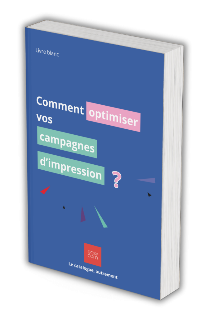 Mockup Livre Blanc Print Management Sans Fond Copie (2)
