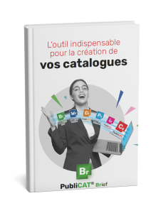 Visuel Livre Blanc Publicat Brief