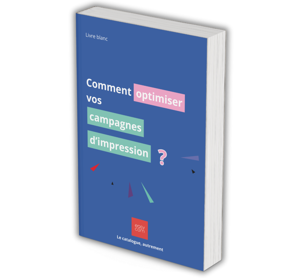 Mockup Livre Blanc Print Management Sans Fond Copie