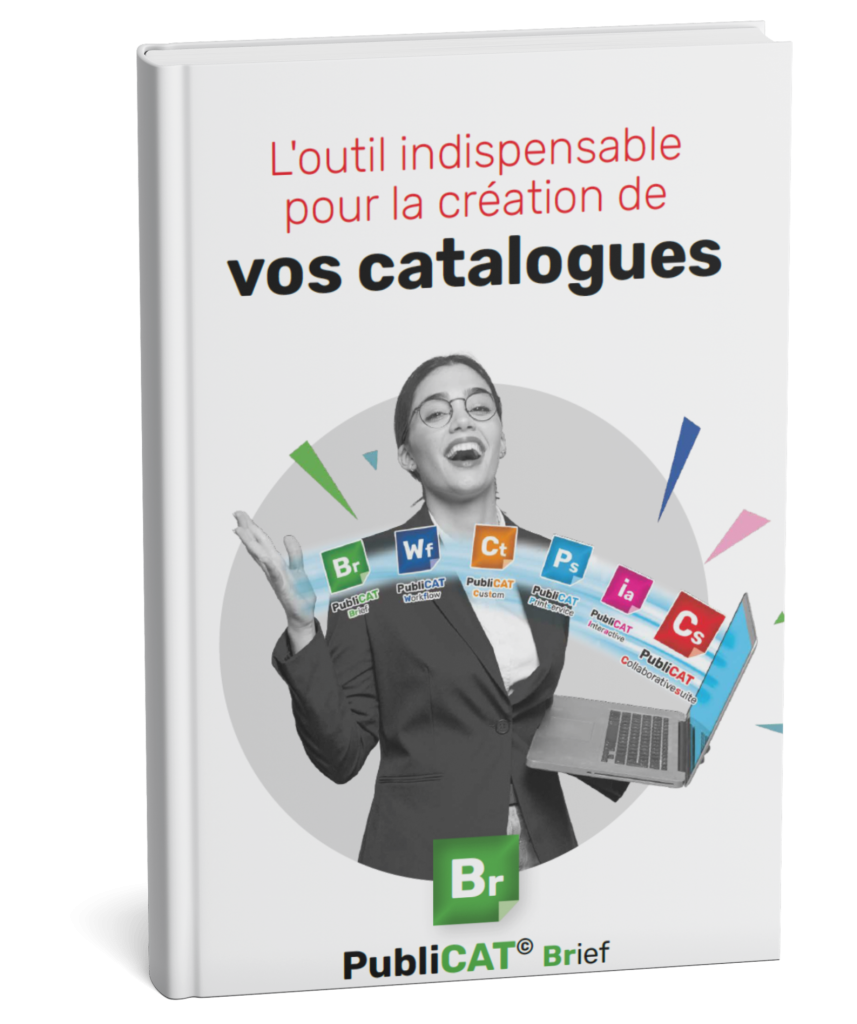 Visuel Livre Blanc Publicat Brief V2